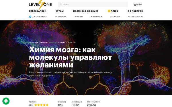 Химия мозга: как молекулы управляют желаниями